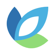 Evoluted Shopify开发